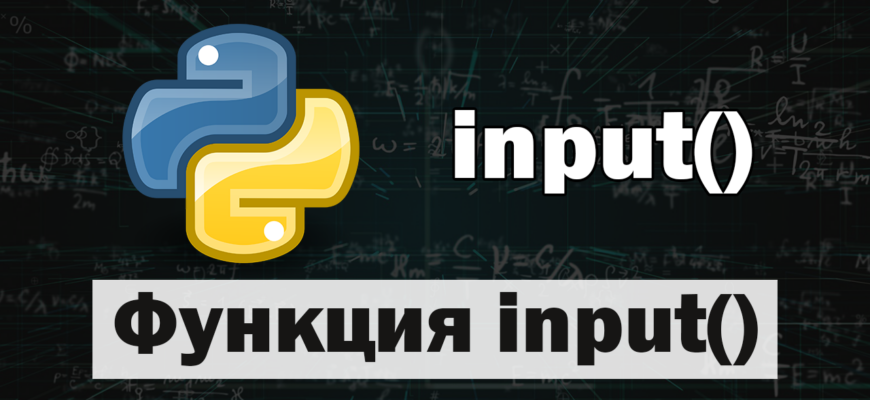 Функция input() в Python.png